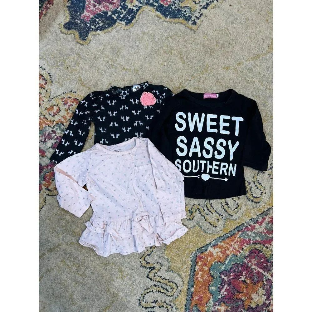 Baby Girls Long Sleeve Shirt Bundle (12M)
